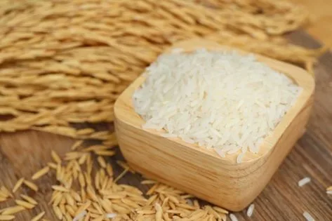 تصویر 1 از برنج طارم جعفری درجه یک ویژه مصرف روزانه